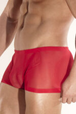 Deluxerie Boxer Homme Charlemagne