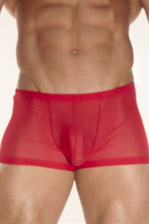 Deluxerie Boxer Homme Charlemagne 4